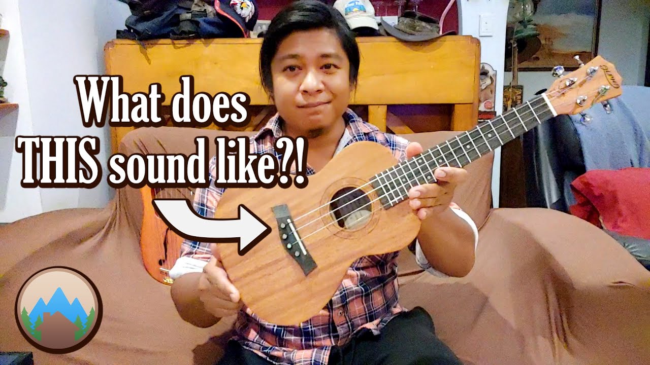 Wait... You can put VIOLIN strings on an UKULELE?