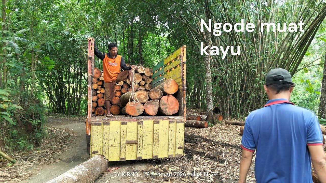 susahnya jadi kuli panggul kayu #kuli#kayu#panggul