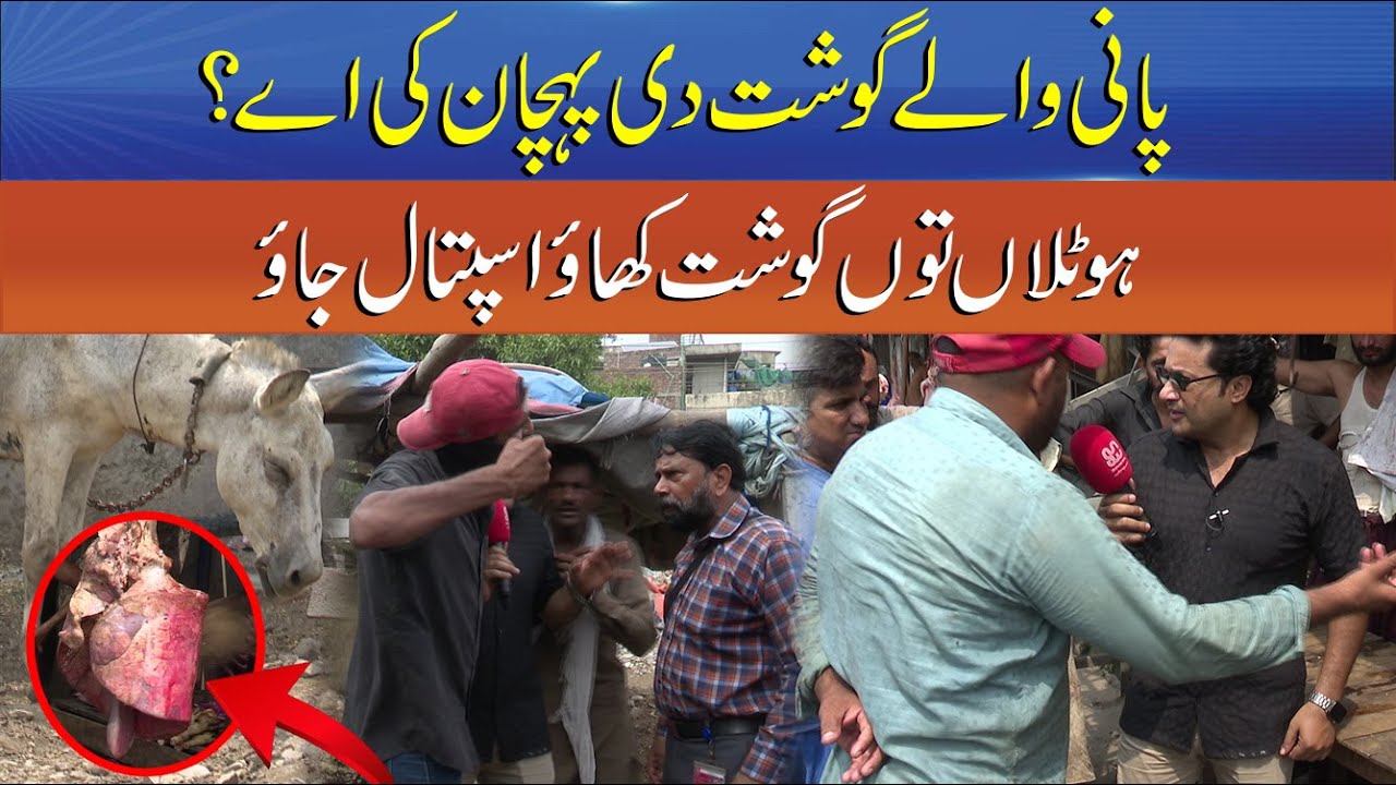 Punjab Alert EP 60 | “Water Meat Exposed | Hotels Serving Illness on Plates” | Sun News Digital