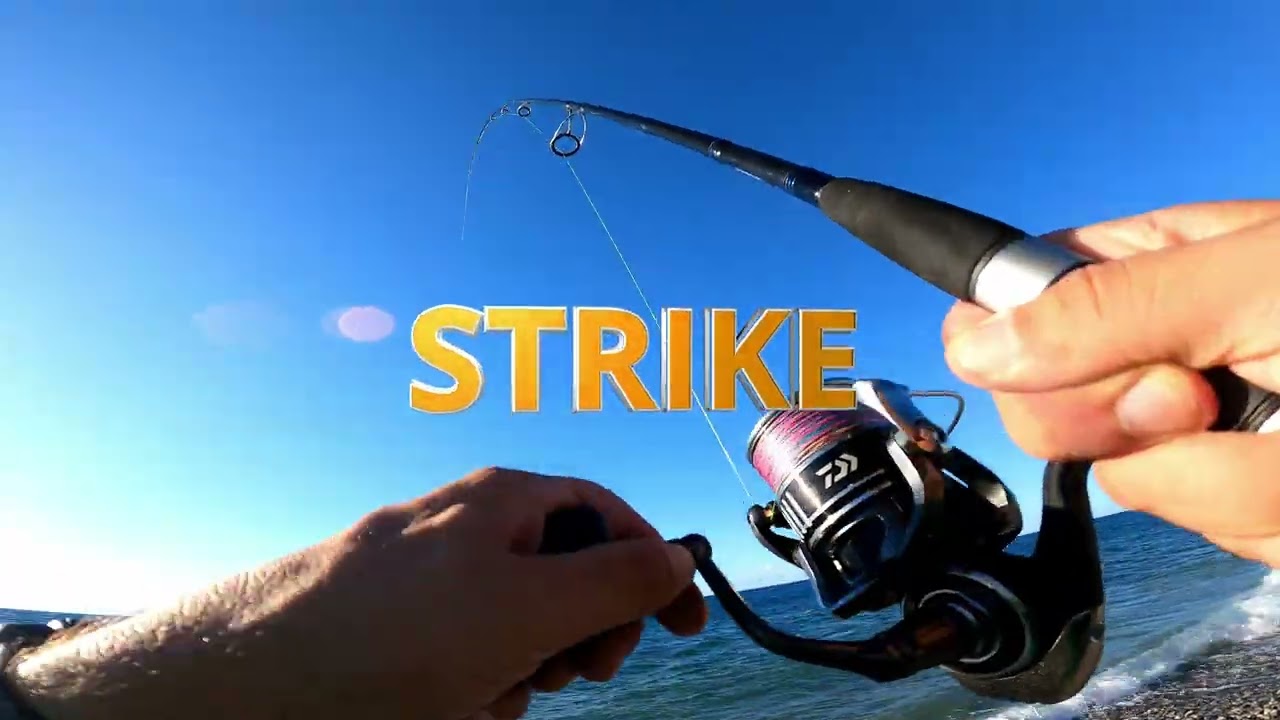 DAIWA SALTIST INSHORE - prova in mare con CERTATE SW 5000 e BG 6000 MQ - close-up - SPINNING INSHORE