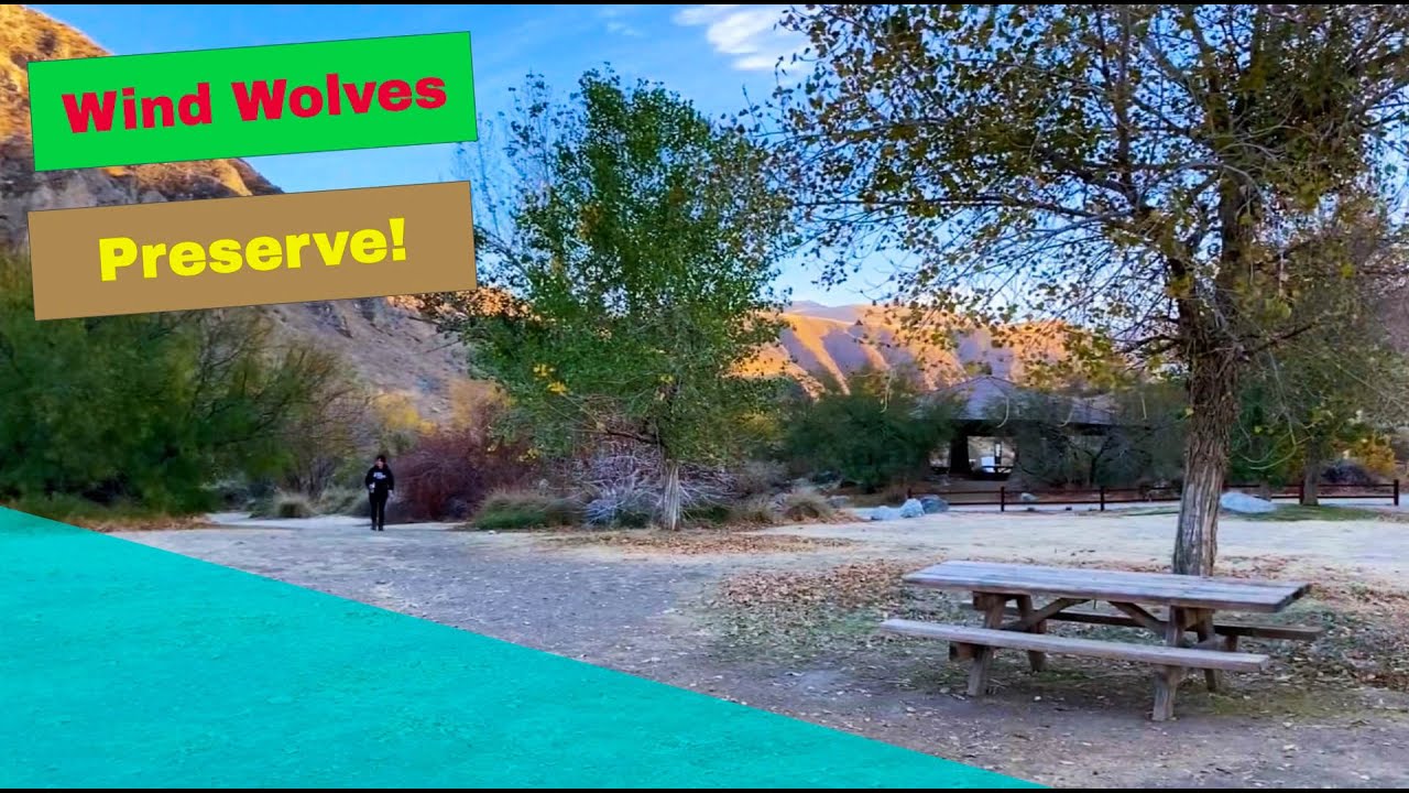 Visiting Wind Wolves Preserve