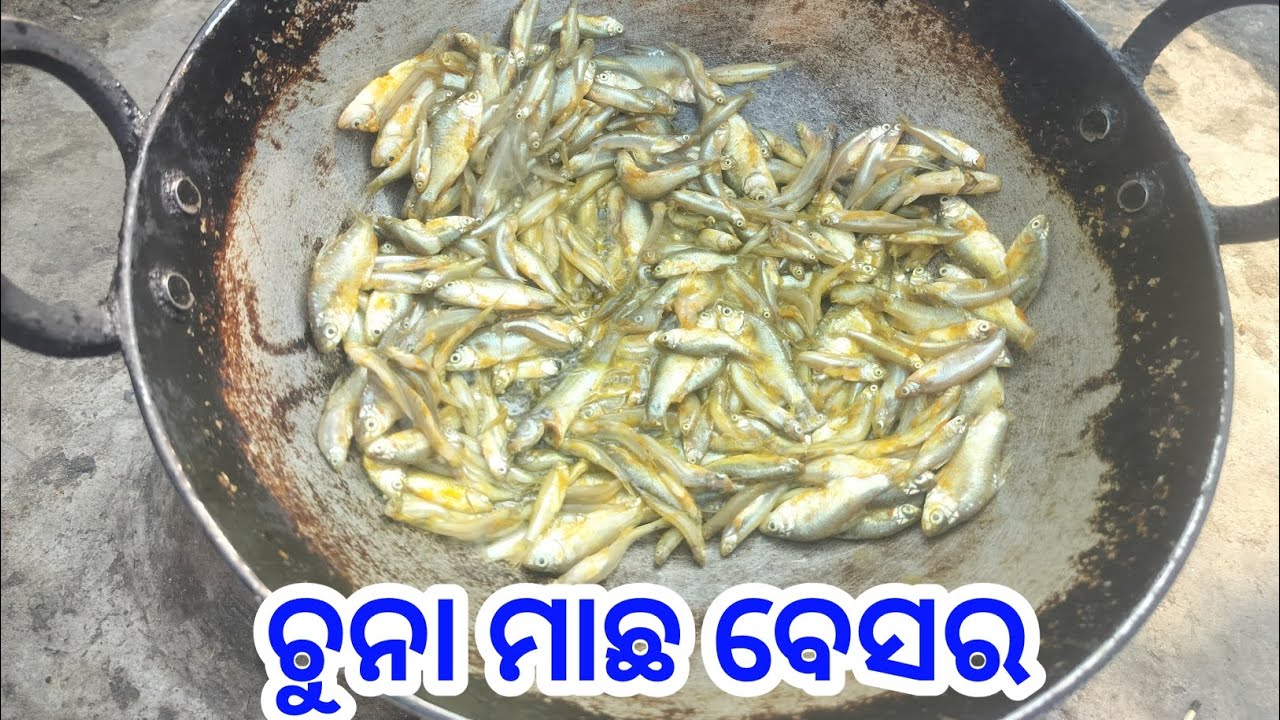 ଚାଲନ୍ତୁ ଆଜି ଆପଣଙ୍କୁ ଖୁଆଇବି ଚୁନା ମାଛ ବେସର 😁