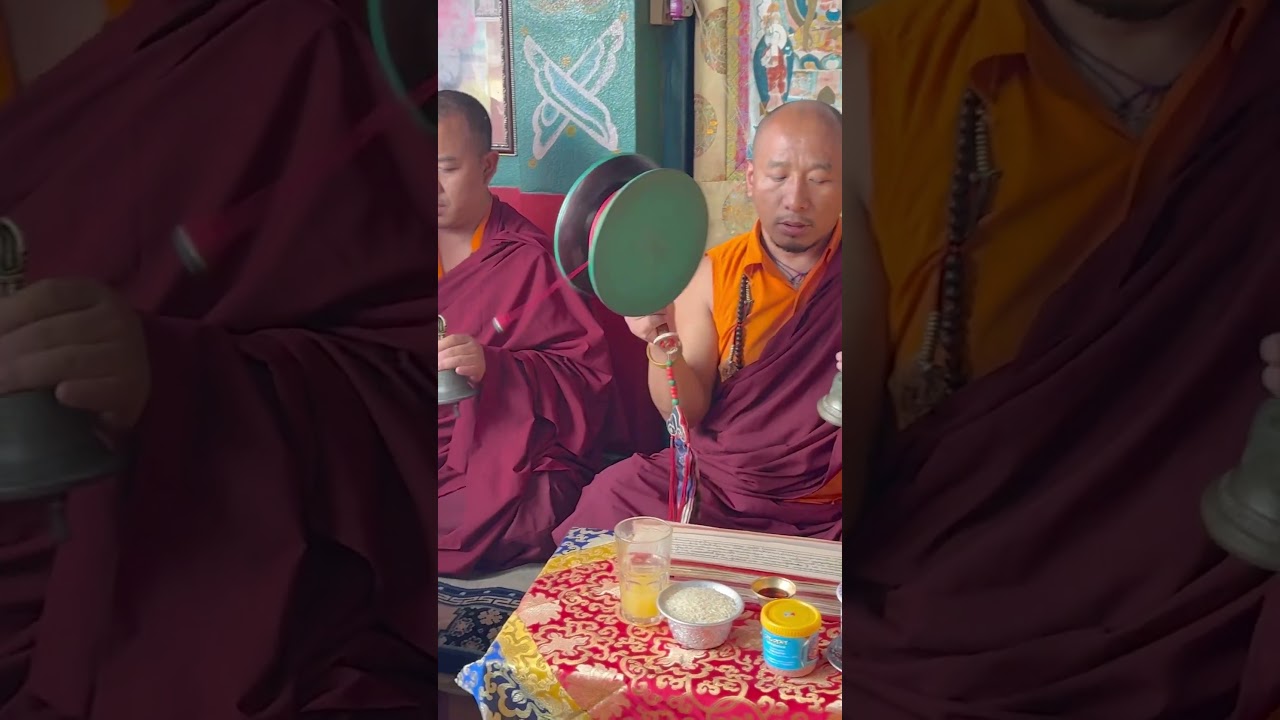 #theoma #puja #mahayanabuddhism #peace #happy #love #tibetan #rinpoche