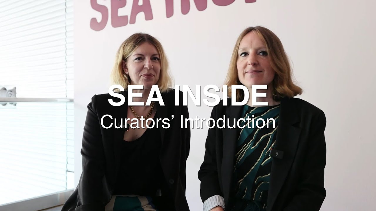 Sea Inside | Curators' Introduction | Sainsbury Centre