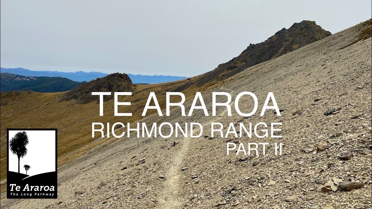 Te Araroa 20: Richmond Range Part II