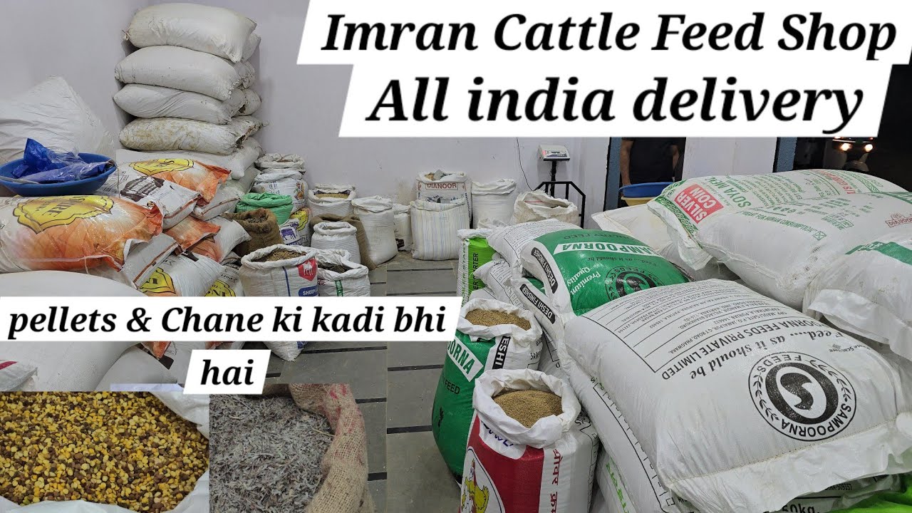 Imran Cattle Feed shop in Hyderabad | chane ki kadi | kutti kadvi | all goats & birds Feed available