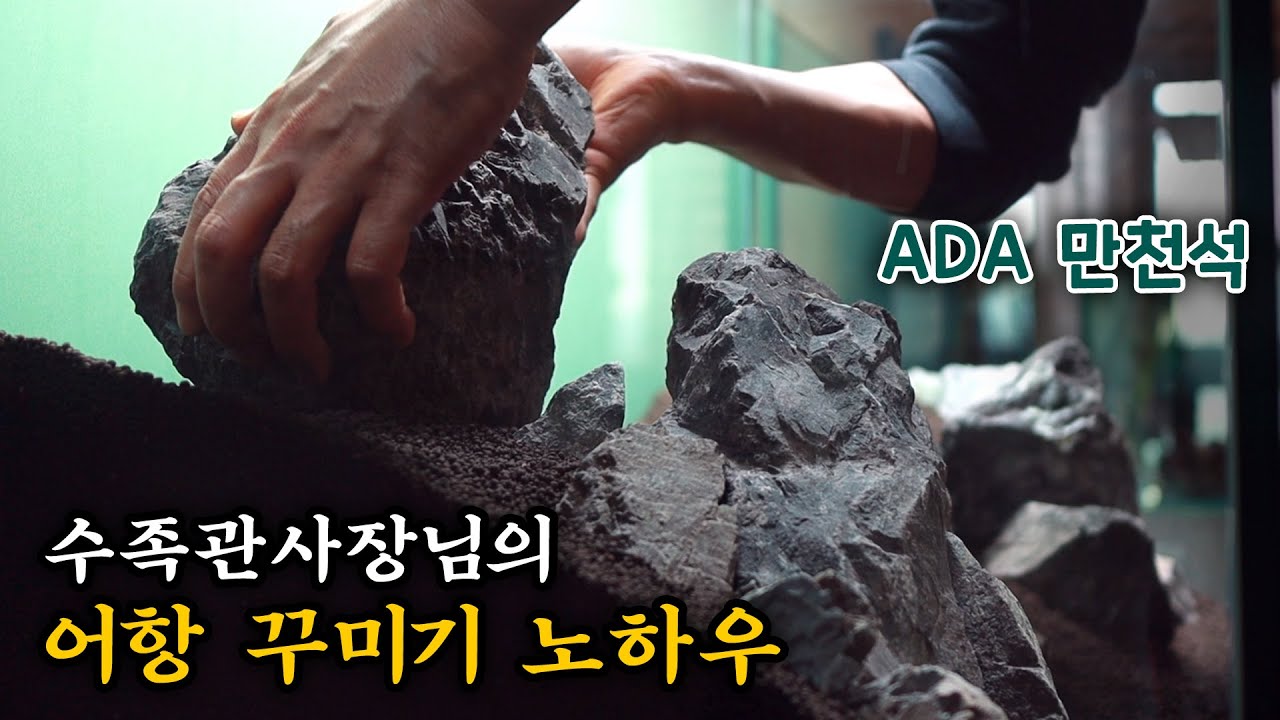 수족관 사장님이 직접 보여주는 어항 꾸미기 꿀팁들