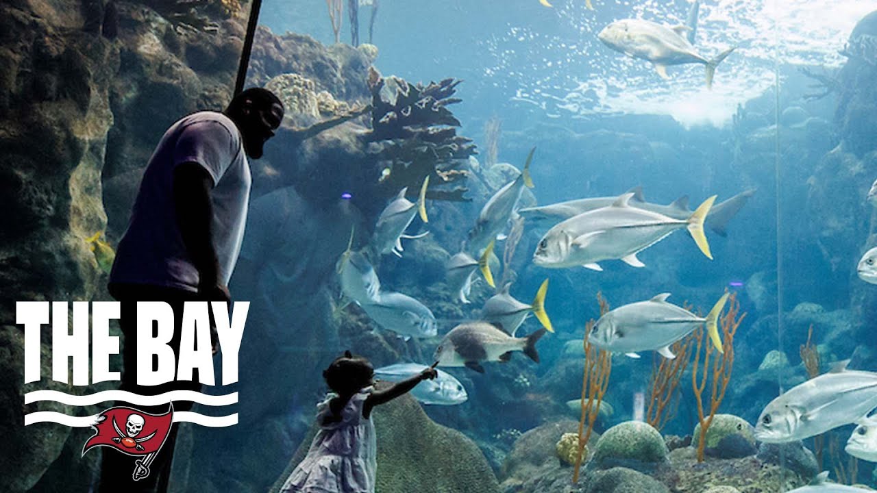 Donovan Smith Visits The Florida Aquarium | The Bay