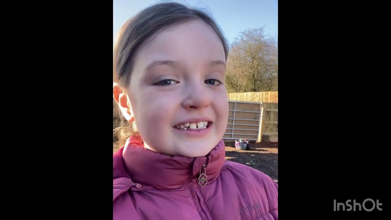 Come for a ride through the woods with me and Chester 🐎 lots of galloping!! 