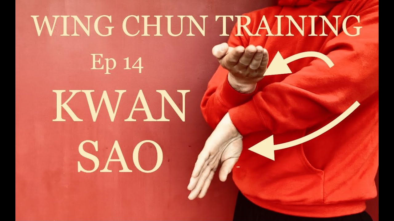 WING CHUN TRAINING Episode 14 : KWAN SAO !