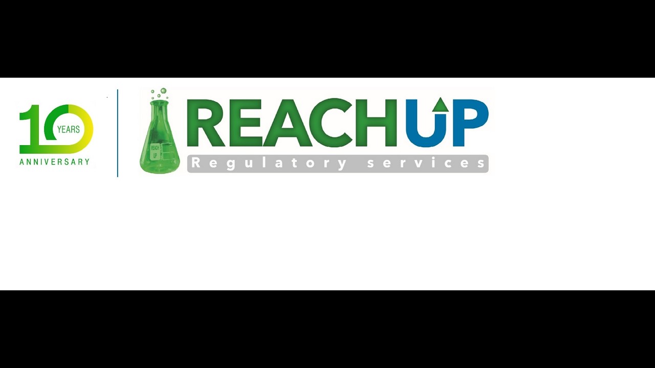 Webinar ReachUp 05 02 2026