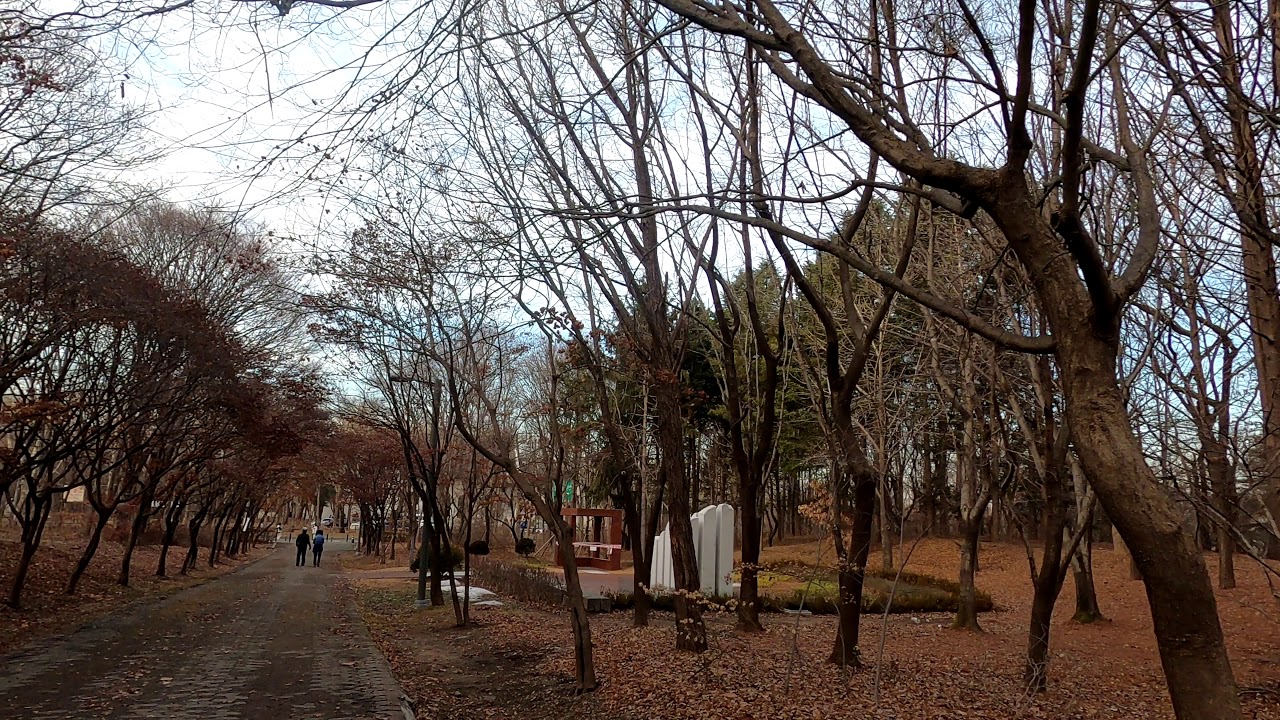 [4K] Seoul Walk - Yangjae Citizen's Forest on a Sunday evening