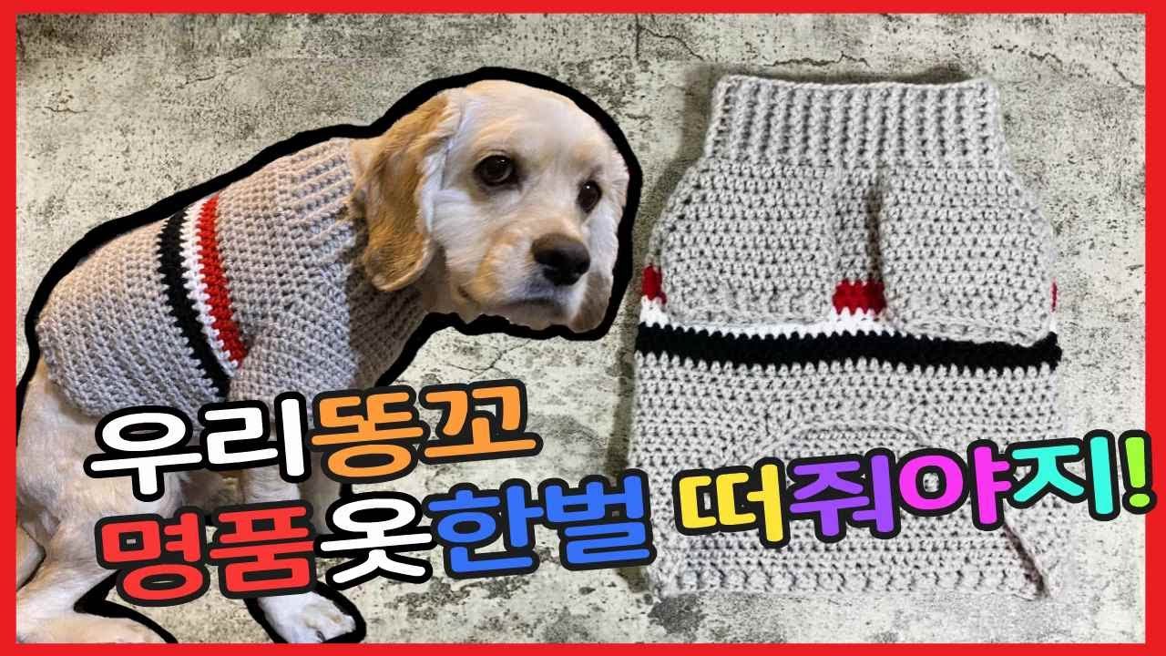 (코바늘)강아지 스웨터 만들기/How to make an easy dog sweater