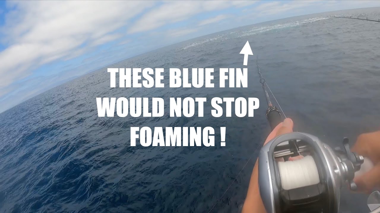 Fishing The MOST INSANE BLUE FIN TUNA FOAMERS EVER!
