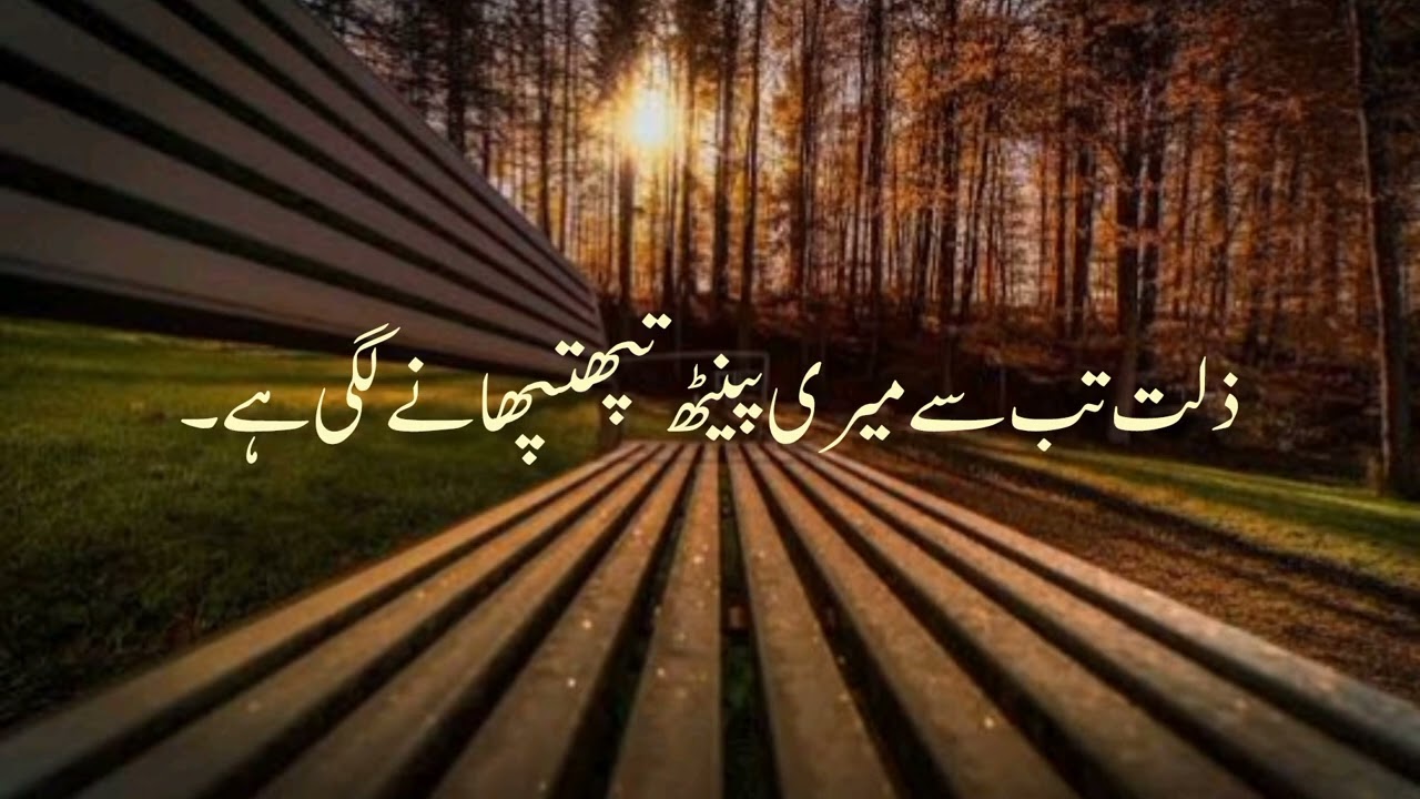 Heartfelt Urdu Poetry | Deep Emotions & Soulful Shayari | Relax & Feel Every Word