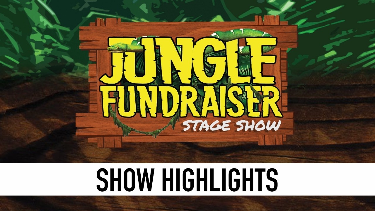 JUNGLE Fundraiser | Moycarkey Coolcroo AC |  SHOW HIGHLIGHTS