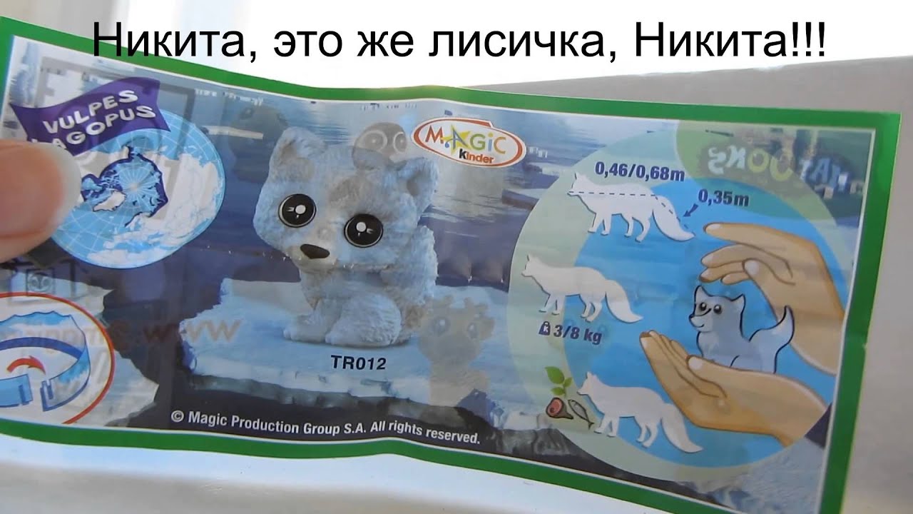 КиндерПатруль - Fox
