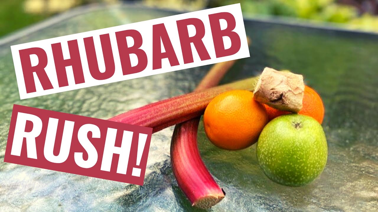 How to make Rhubarb Juice - The Best Recipe!