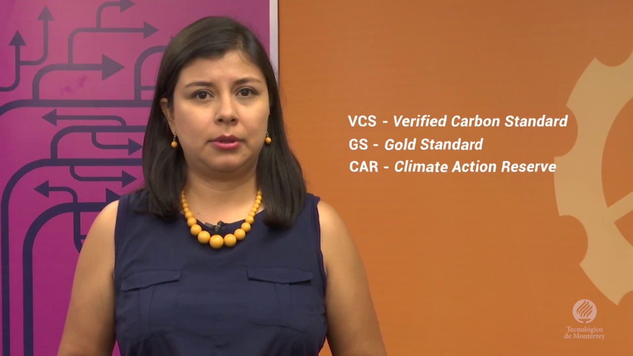 Mercados voluntarios: un compromiso social con el medio ambiente