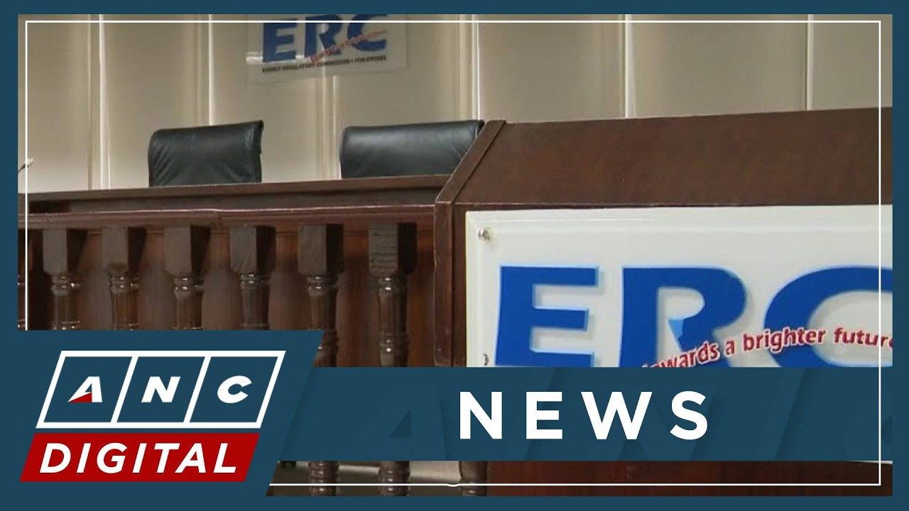 ERC issues show cause orders vs Leviste's Solar Para sa Bayan, says possible fine of up to P150M