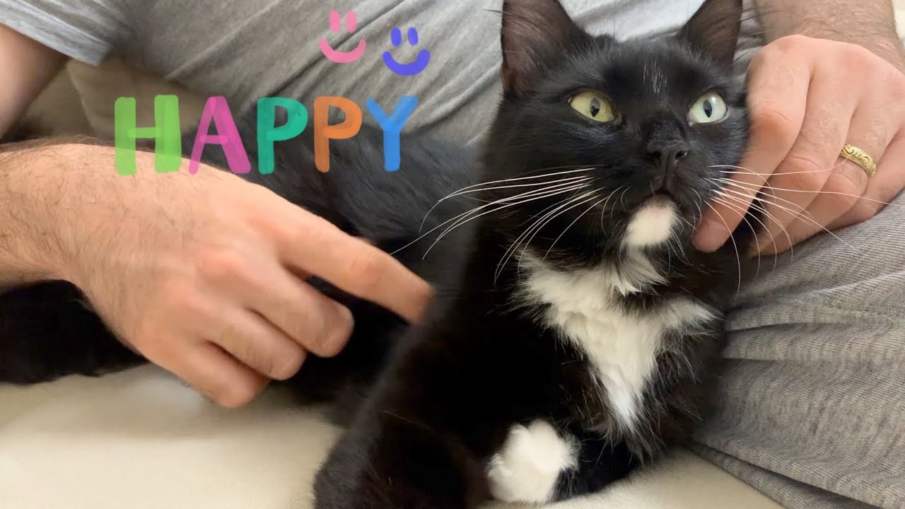 Uni Enjoying Petting.