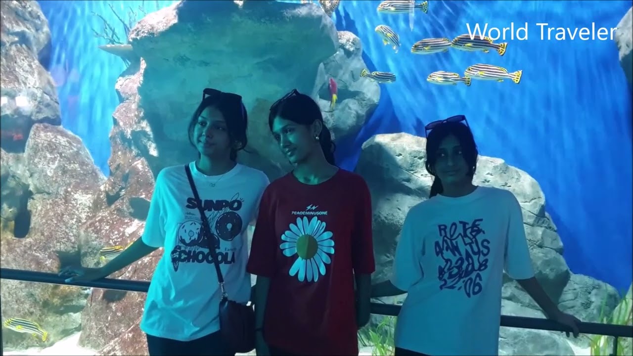 Aquiarium