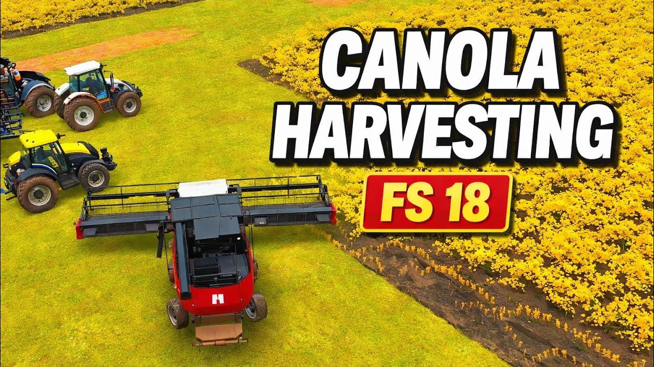 Farming Simulator 18 Multiplayer Gameplay | Canola Harvesting