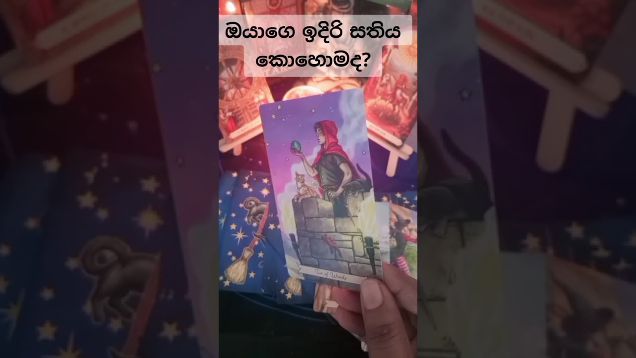 ඔයාගෙ මේ සතිය කොහොමද?#tarrot #viral #fpyyyyyy #fortuneteller#ppppppppppppppppppppppppppppppppppp#