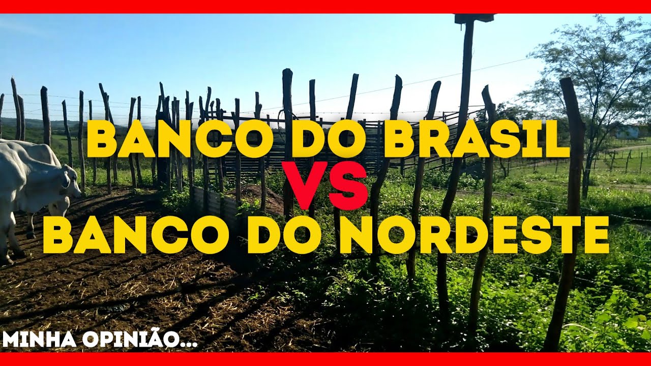 CRÉDITO RURAL - PRONAF - QUAL É O MELHOR BANCO? minha opinião...