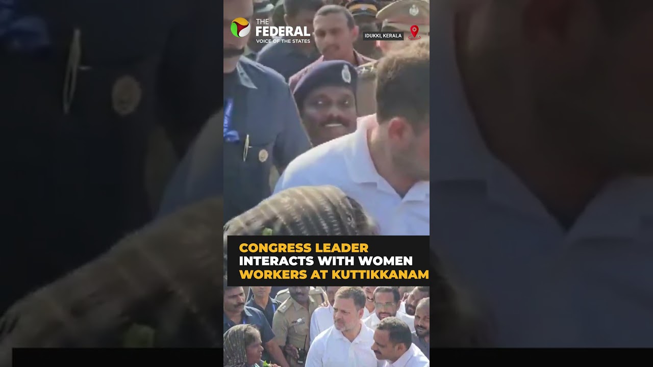 Rahul Gandhi in Kerala: Visits tea plantation, meets workers in Idukki