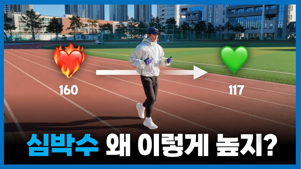 이렇게 달리면 심박이 내려갑니다.