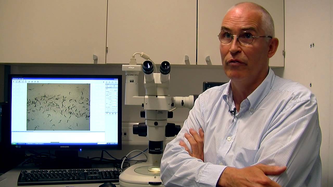 Real-life genetics unveil a key factor of longevity