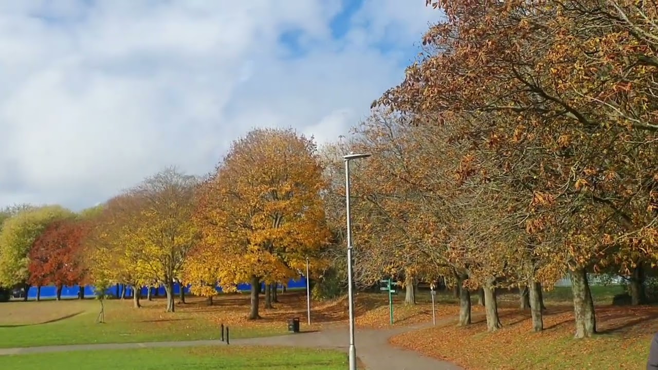 The beauty of fall season /Beautiful quran recitation 