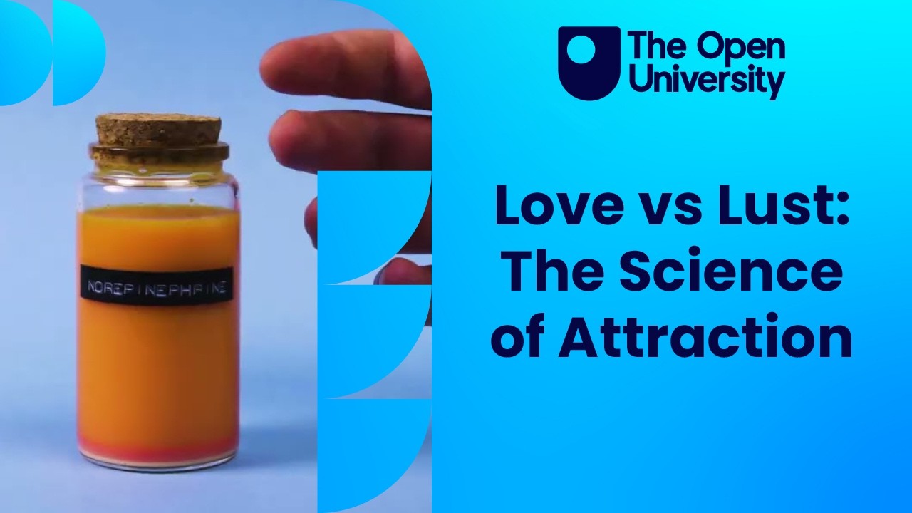 BBC Ideas: What’s the difference between love and lust