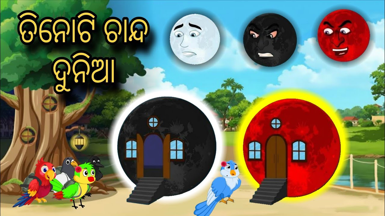 Tinoti Chanda Dunia | Tiki Chadhei Gapa | Odia gapa | Moral Story | Bird Story | Cartoon Story