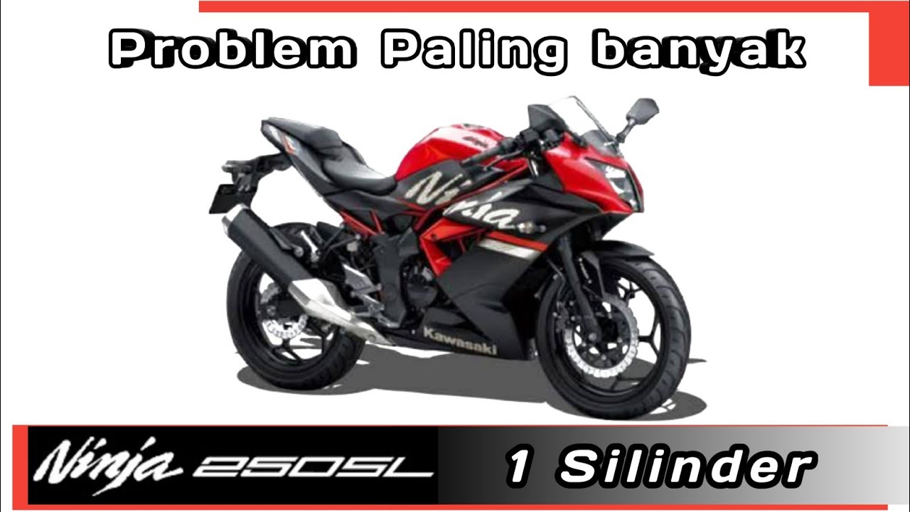 Problem ninja 250 / 1 Silinder