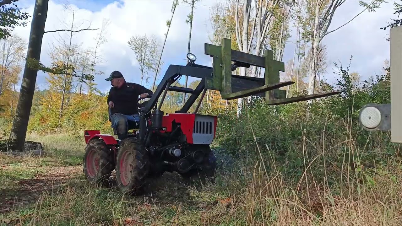small orvex, processes beech