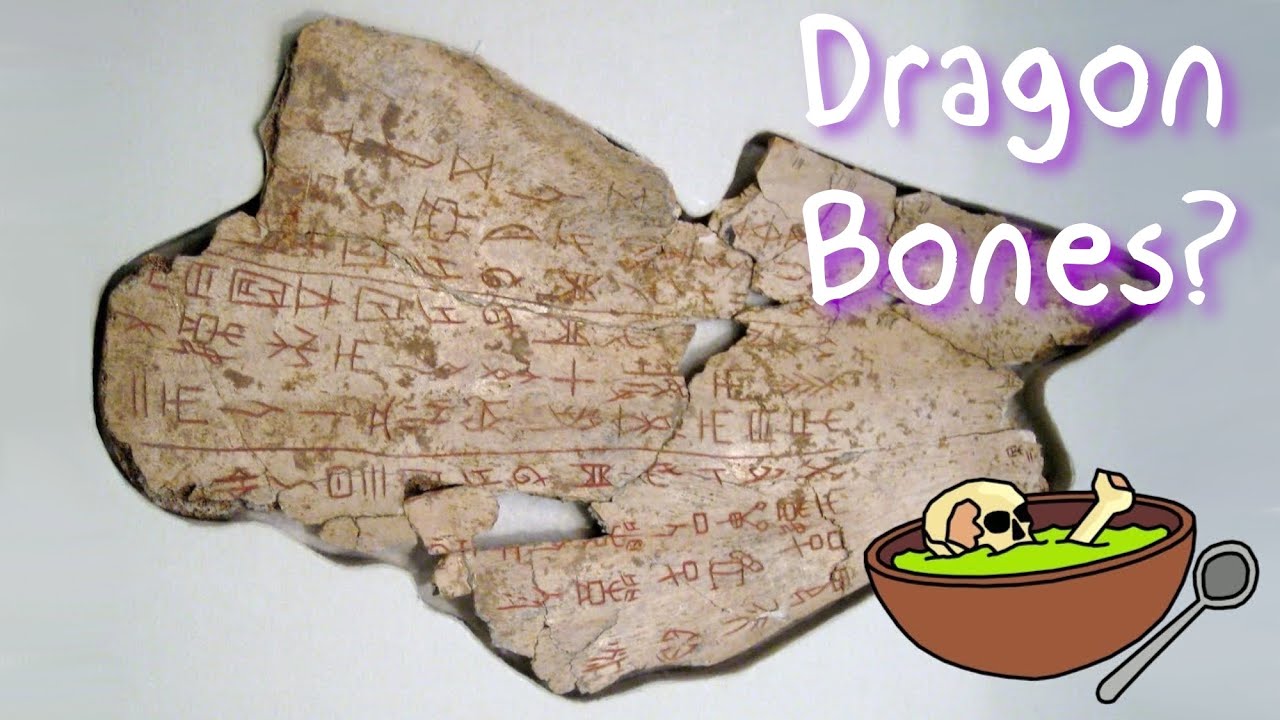 Oracle Bones (Dragon Bones): In Focus