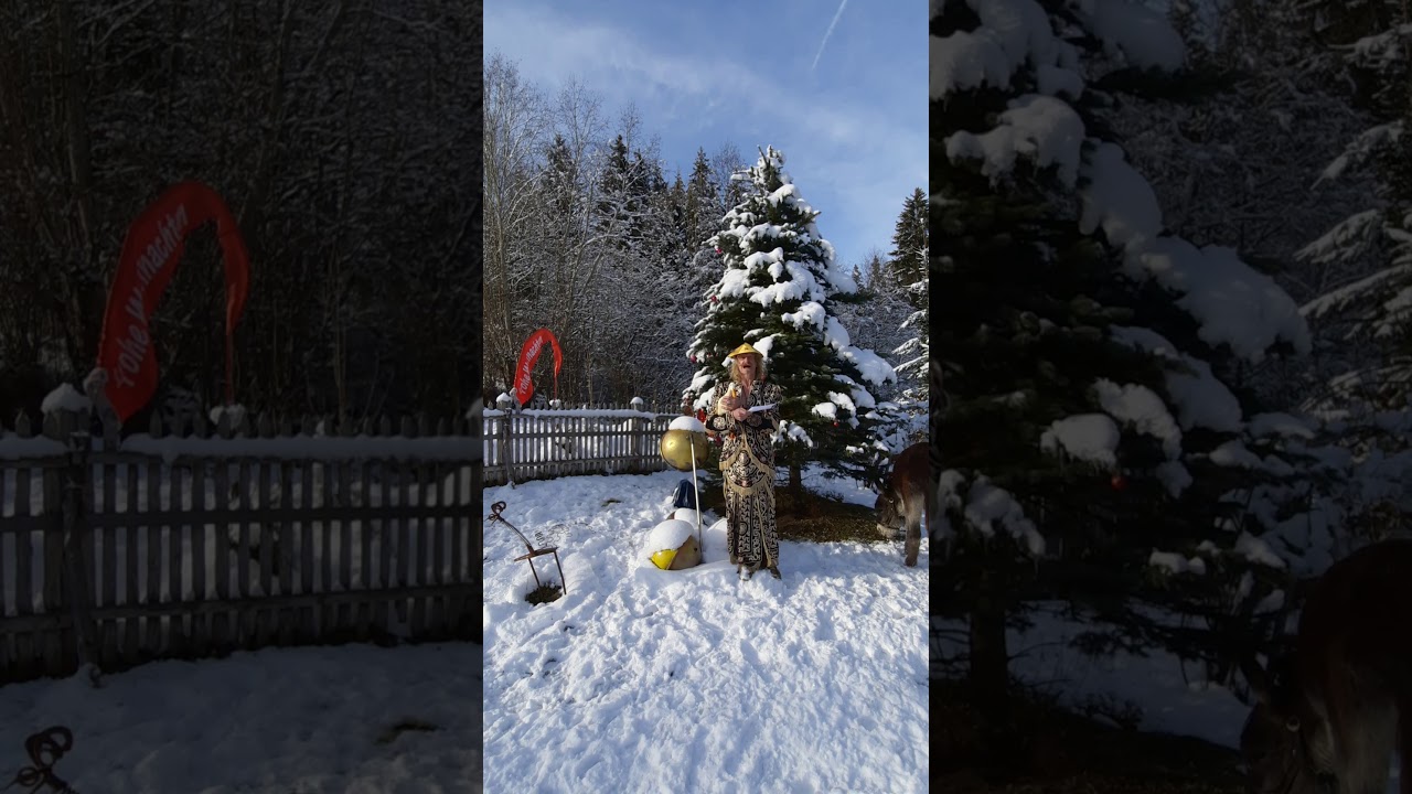 Zirkus Liberta w&uuml;nscht eine sch&ouml;ne Weihnachtszeit