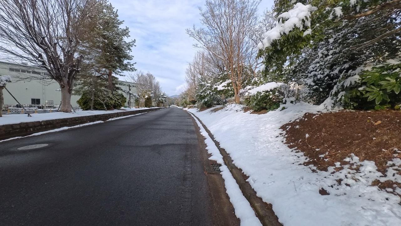 【つくば市の桜地区】を一周してみた Part 1（2026/02/06）