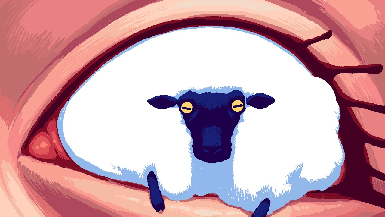 Sheep Sleep