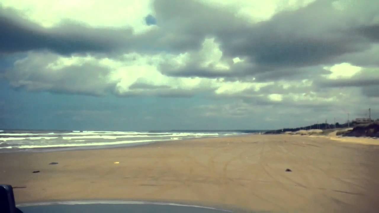 犬と旅行 RoadMovies