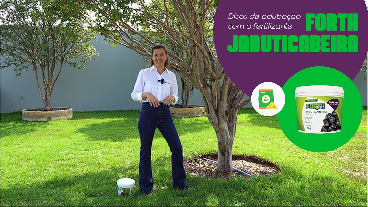 Dicas de adubação com o fertilizante Forth Jabuticabeira