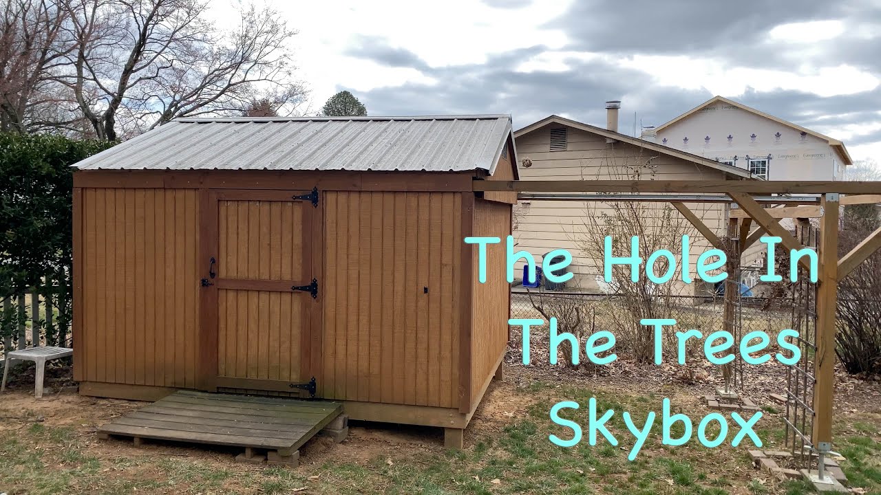 The Hole In The Trees Skybox