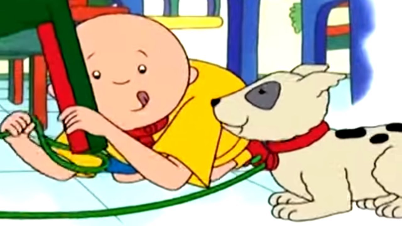 Caillou'nun Yavru Köpek | Caillou Türkçe - WildBrain