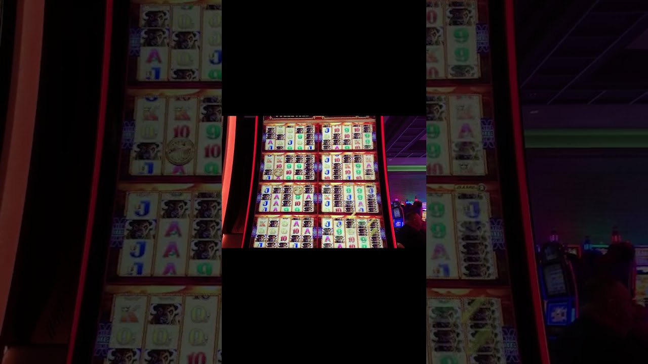 Clear 15 Buffalo Gold Heads For Big Jackpot. #slot #buffalogold #buffalorevolution #casino #jackpot