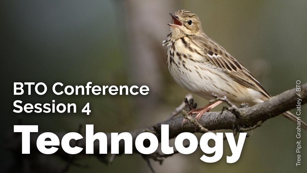 BTO Conference 2021: Session 4 - New Advances in Technology