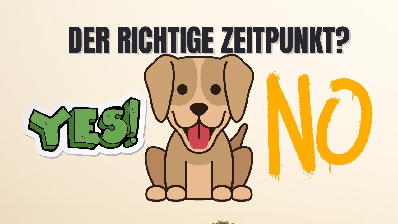 Passt ein Hund in mein Leben?