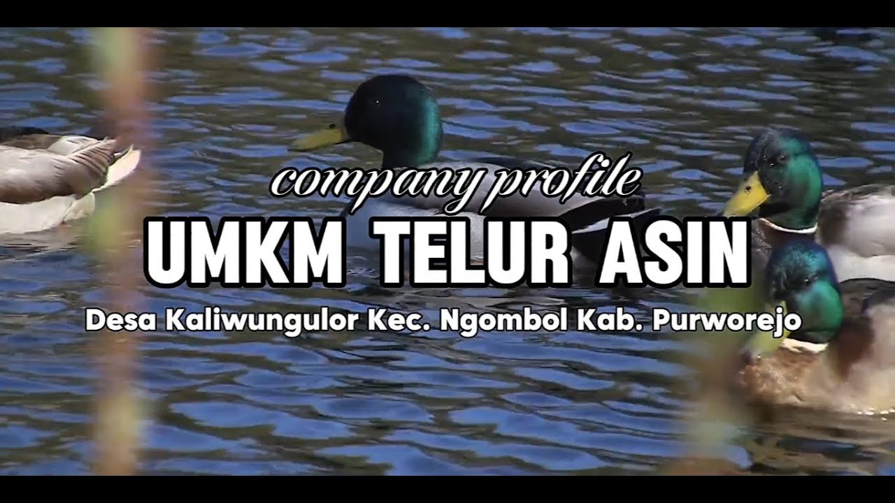 Company Profile UMKM Telur Asin Desa Kaliwungulor