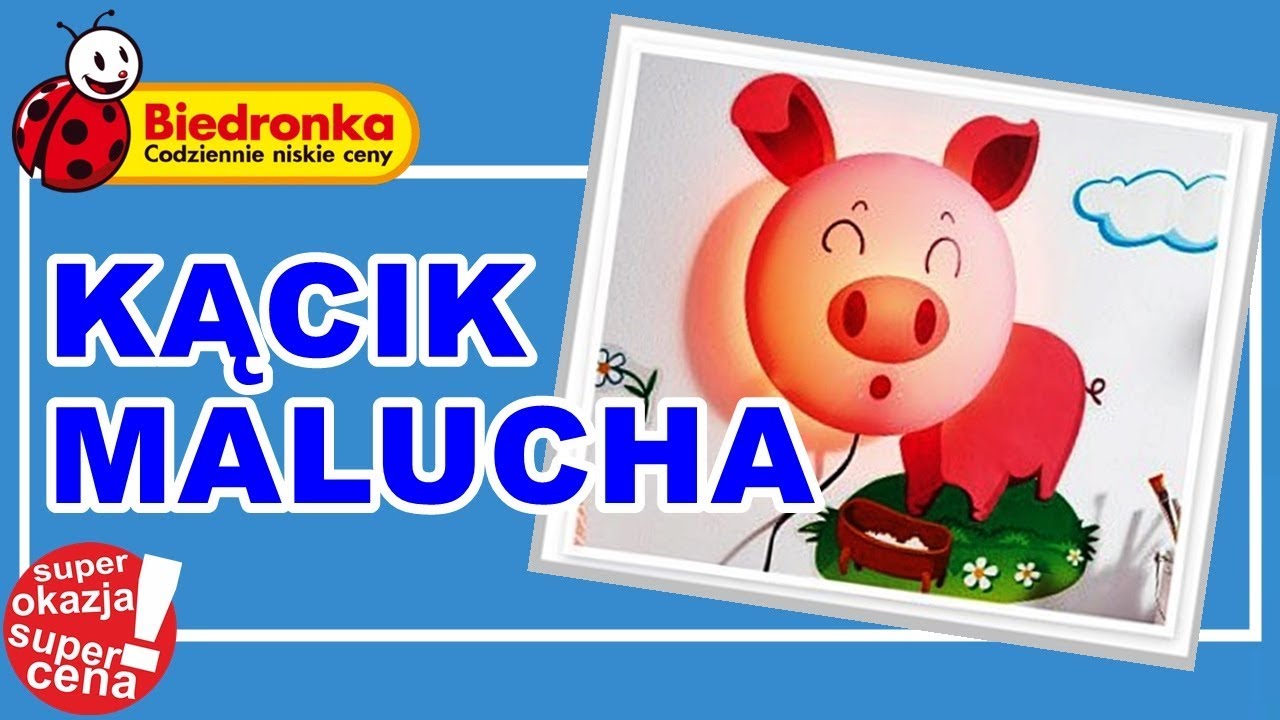 Oferta Biedronki od Poniedziałku 21.01.2019 | Kącik Malucha